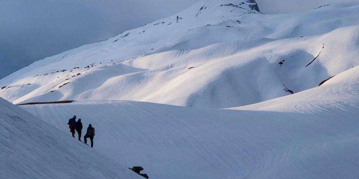 Pangarchulla Trek: Conquering the Himalayan Summit