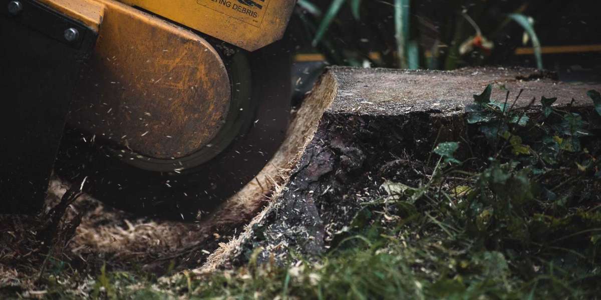 London Stump Grinding – Stump Removal North London