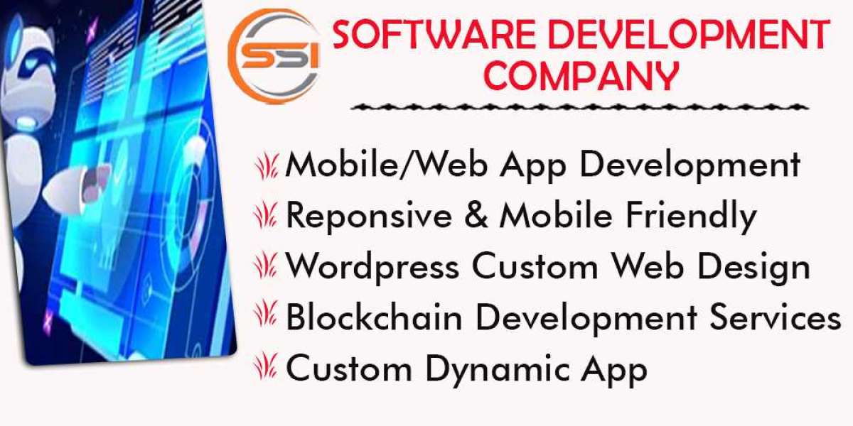 Synergy Soft India (SSI) Softwaredevelopment