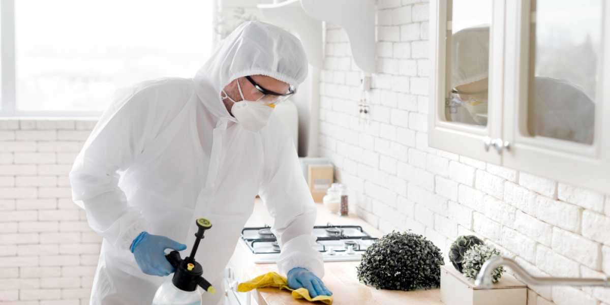 Residential Pest Control Company in Palm City