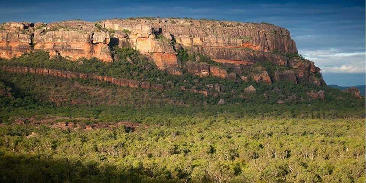 Exploring Kimberley: The Ultimate Guided Tour Experience