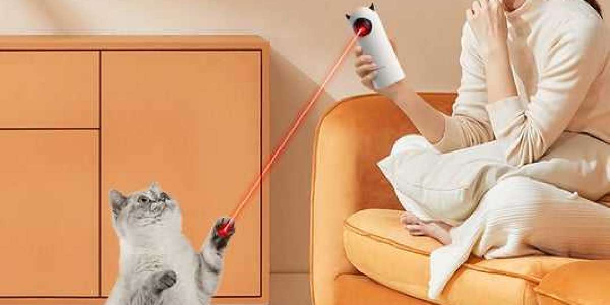Safe Play: Using Laser Toys with Cats