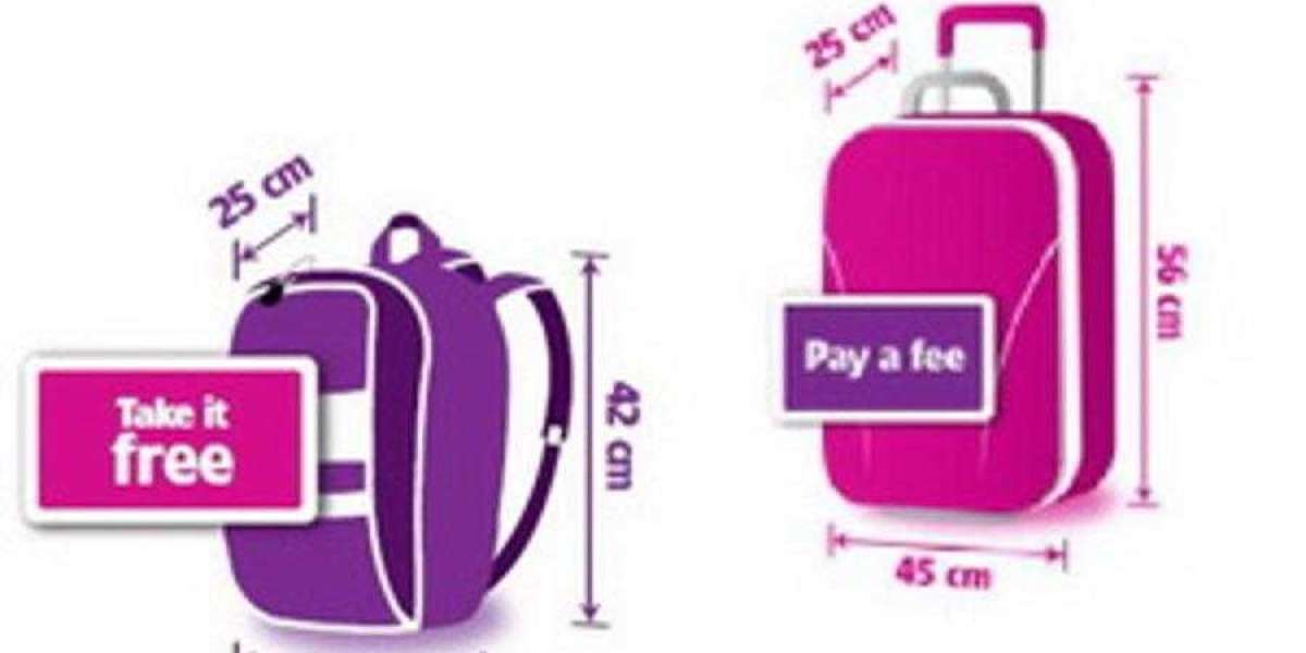 Wizz Air Baggage Allowance, Fees & Policy 2023