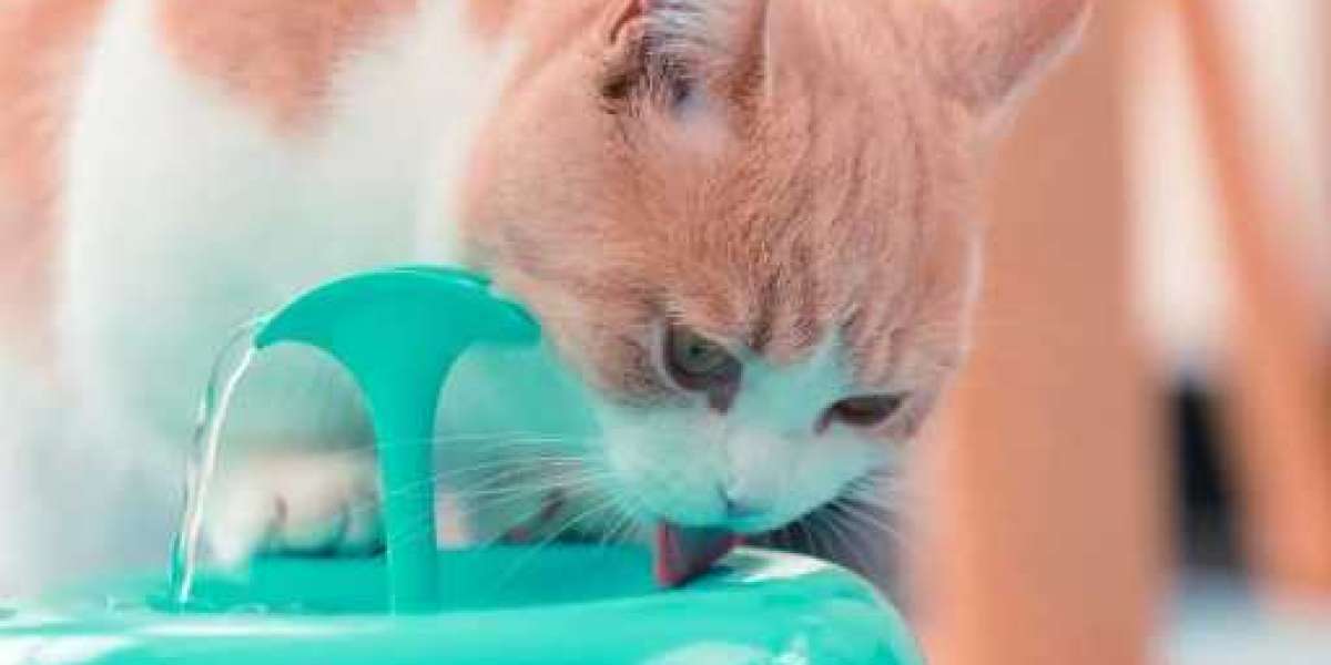 Enhance Your Pet's Hydration with the Pawoof Cat Water Fountain: A Leading Pet Feeder Manufacturer's Innovatio