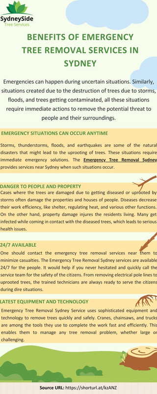 Benefits of Emergency Tree Removal Services in Sydney — Postimages