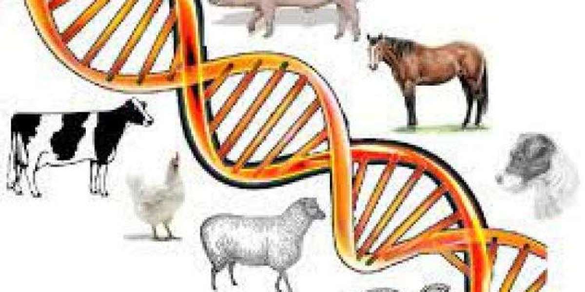 Animal Genetics Market Size, Share, Scope, Trends, Growth, Analysis and Forecast
