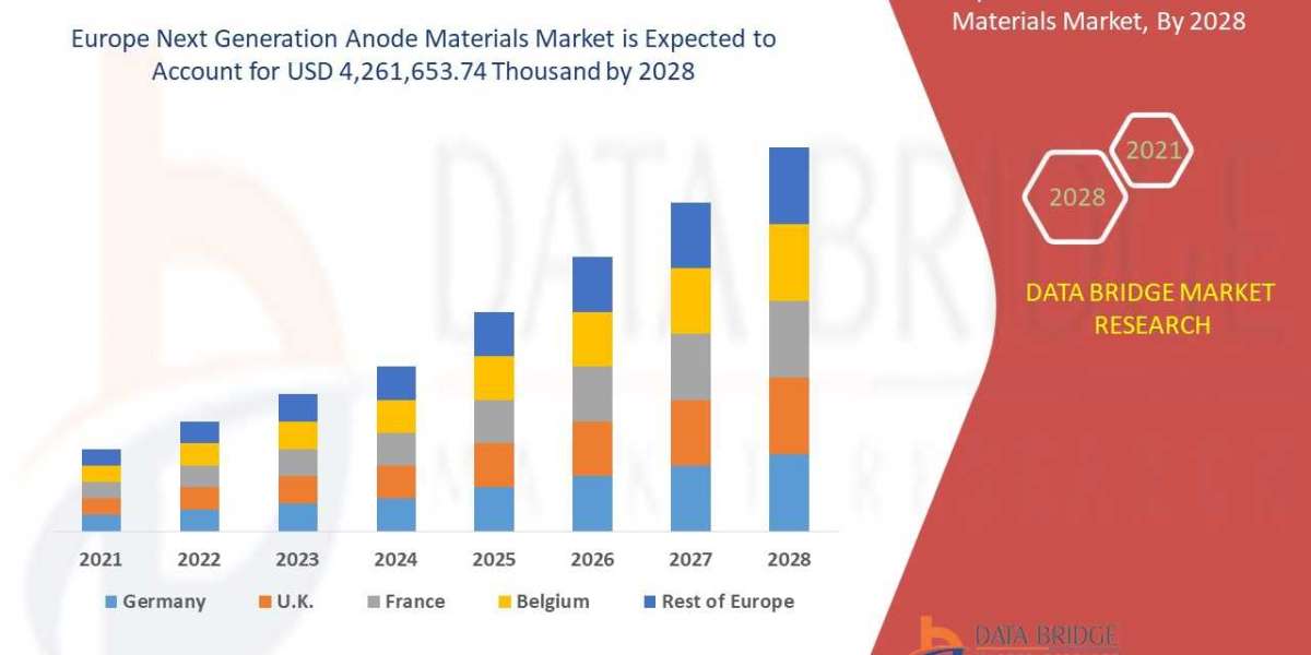 Europe Next Generation Anode Materials Market Scope, Insight, Focused Growth Forecast by 2029