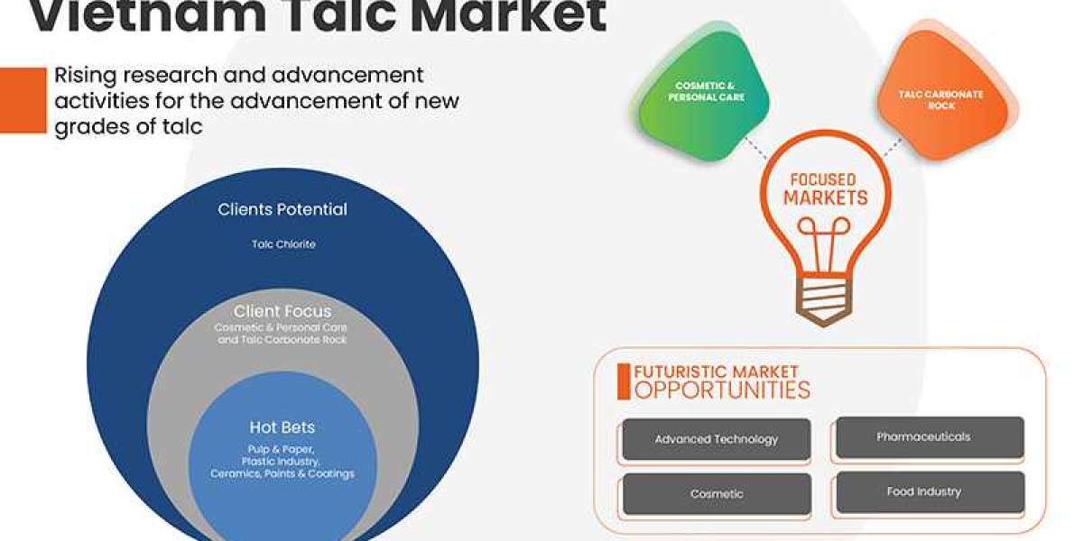 Vietnam Talc Market Business ideas and Strategies forecast by 2029