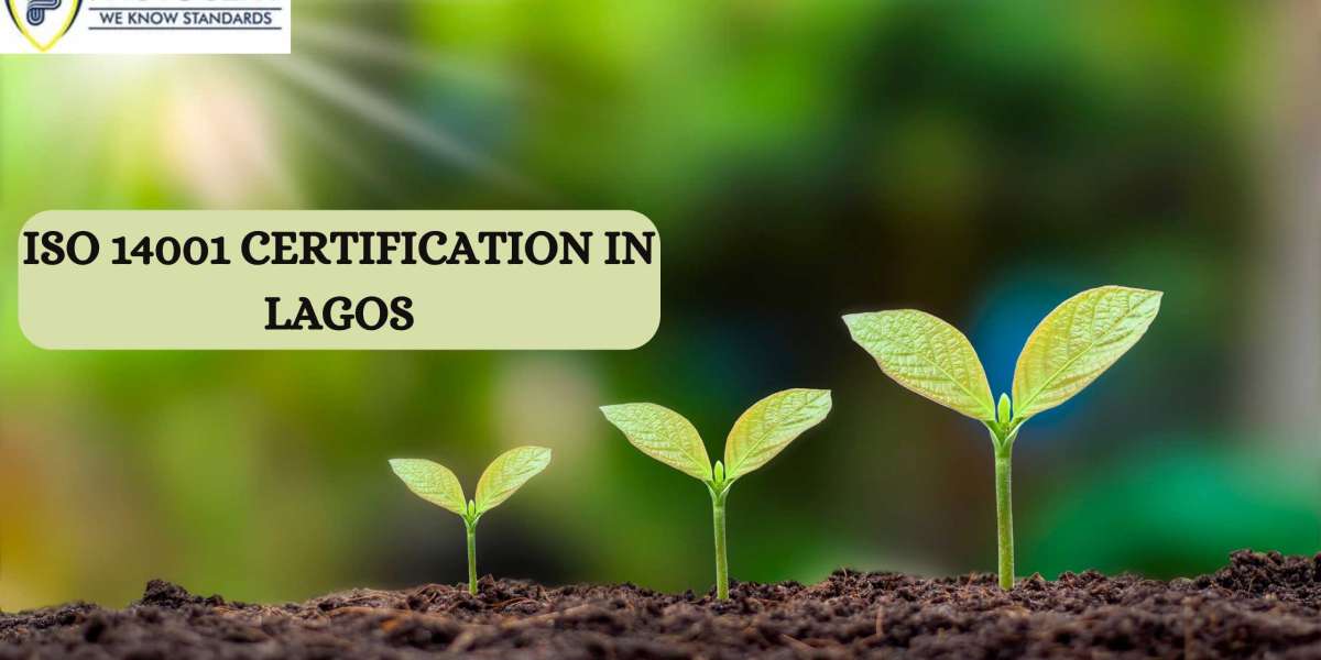 Explain the process of obtaining an organization’s ISO 14001 certification in Lagos? / Uncategorized / By Factocert Myso