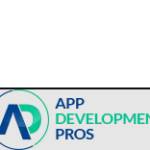 app development Profile Picture