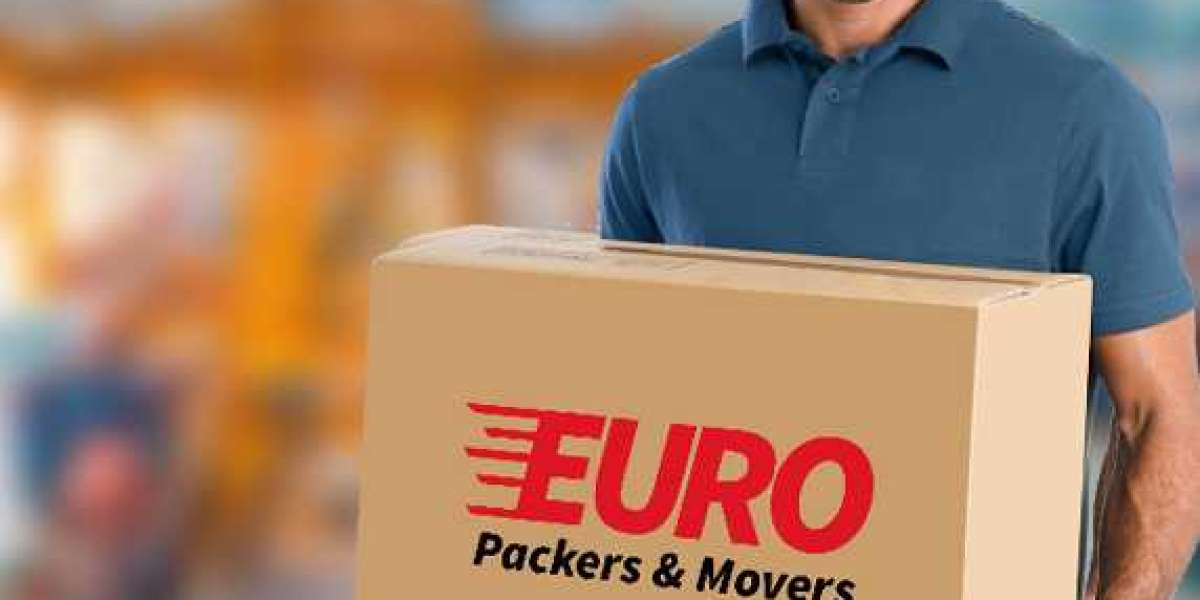 Euro Packer and Movers - Best packers and movers services in Patna