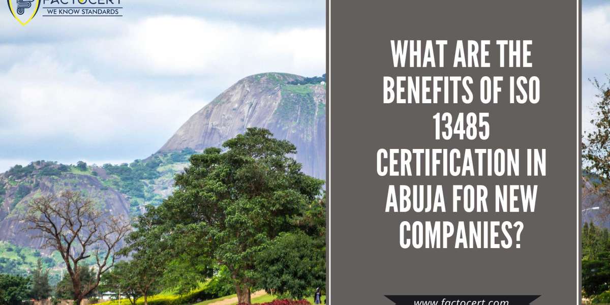 What are the benefits of ISO 13485 Certification in Abuja for new companies?