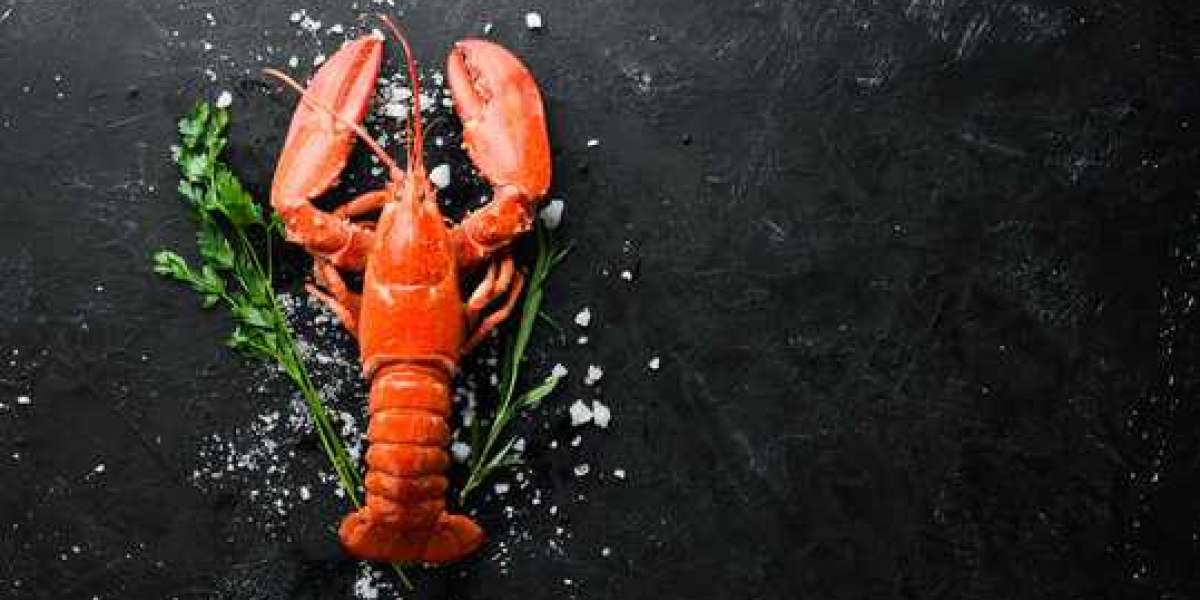 Lobster Market Research Report 2028, Industry Trends, Share, Size, Demand and Future Scope