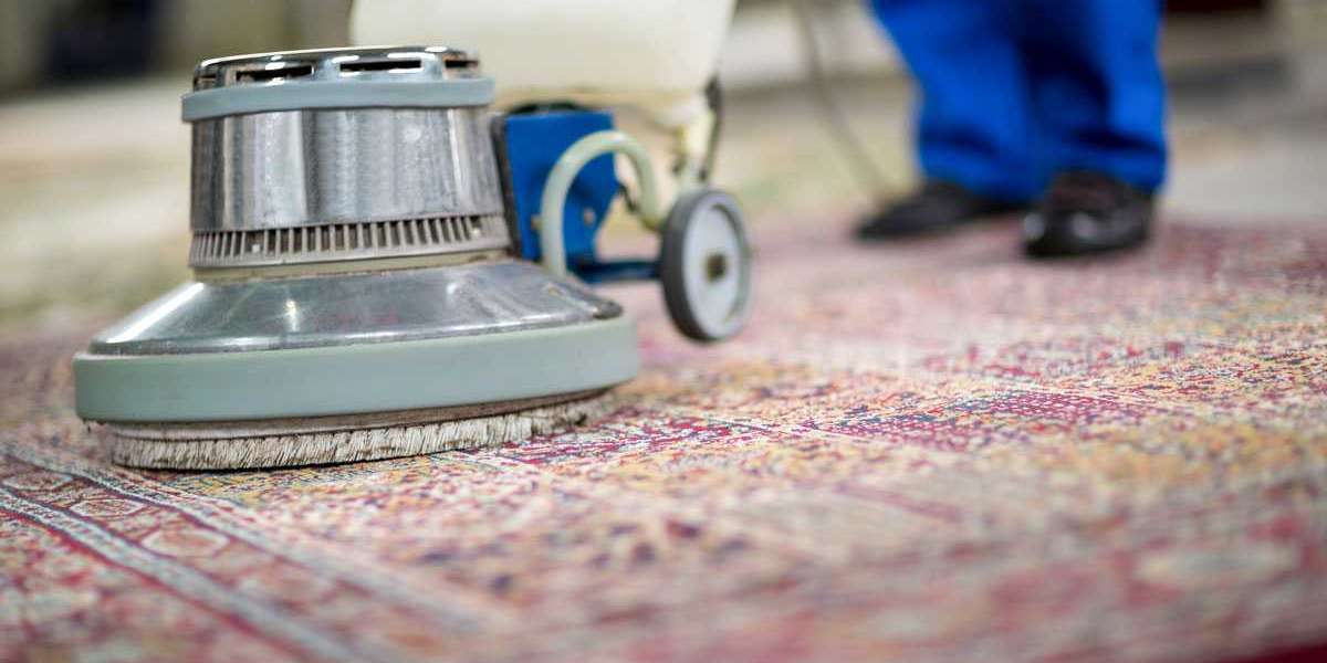 Quality You Can See and Feel with Professional Carpet Cleaning Services
