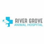 River Grove Animal Hospital Profile Picture