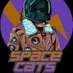 space cats Profile Picture