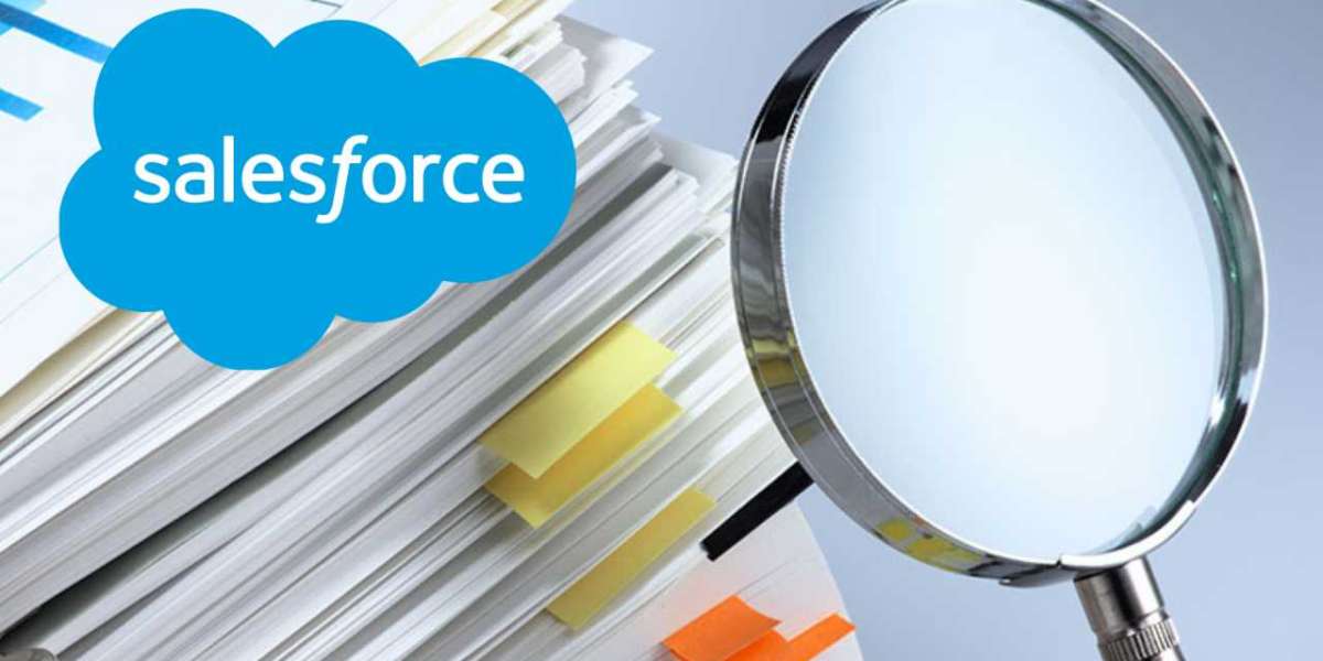 How hiring a Salesforce Developer can drive success for business