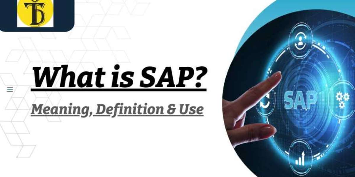 what is SAP Meaning, Definition, and Use