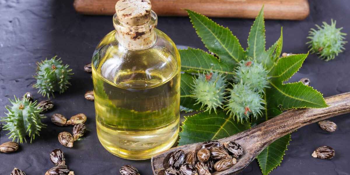 Castor Oil Market Size, Share, Demand and Growth by 2034