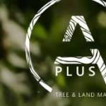 aplus treeland Profile Picture
