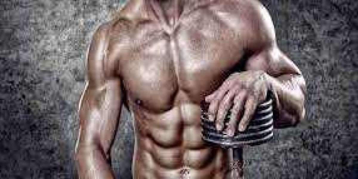 The Best Legal Steroids to Buy