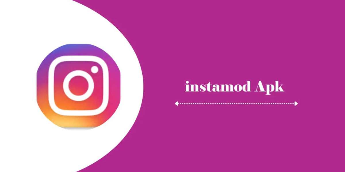 The Pro's Guide to Instagram Success: Insider Strategies for Optimal Visibility