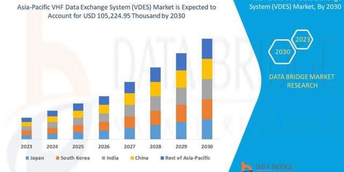 Asia-Pacific VHF Data Exchange System (VDES) Market Growth, Industry Size-Share, Application by 2030
