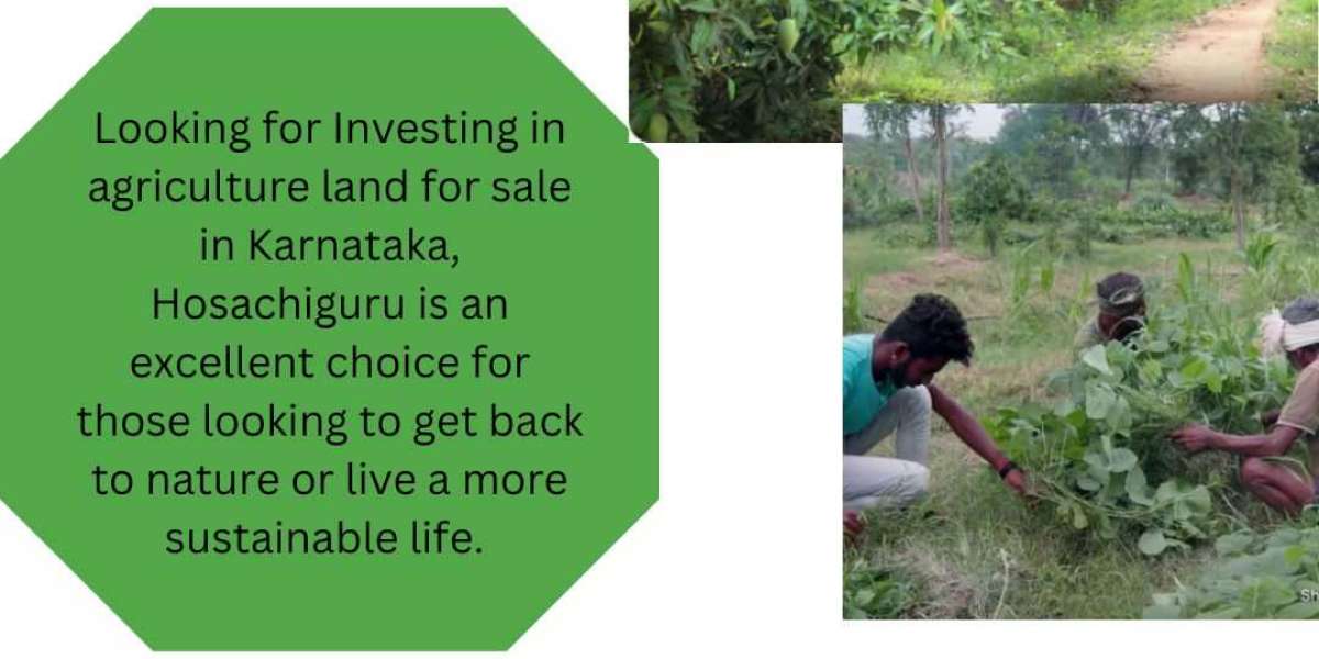 Hosachiguru: Revolutionizing Sustainable Farming in India with Our Agriculture Land for Sale