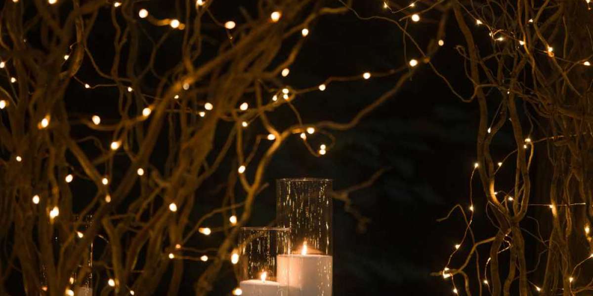 DIY Holiday Decor and Lighting Ideas for Tampa Bay Homes