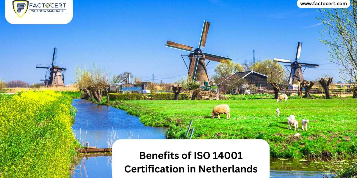 Benefits of ISO 14001 Certification in Netherlands