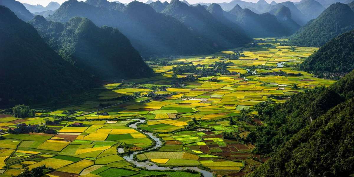 From North to South: Vietnam Tour Packages for a Complete Experience