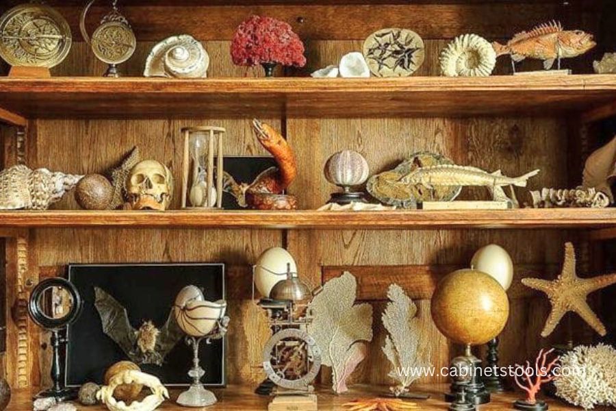 Unveiling the Extraordinary: A DIY Guide on how to make a cabinet of curiosities - Cabinets Tools