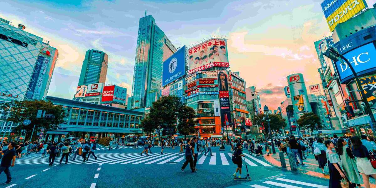 Tokyo Bound: Exploring the Metropolis Through Private Tours