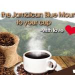 Jamaican Blue Mountain Coffee Profile Picture