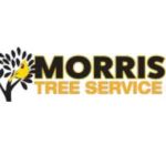Morris Tree Service Profile Picture
