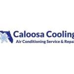 Caloosa Cooling Lee County, LLC Profile Picture