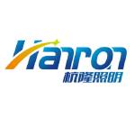 Hanron Lighting: RGB RGDW 12V WS2815 led strip Profile Picture