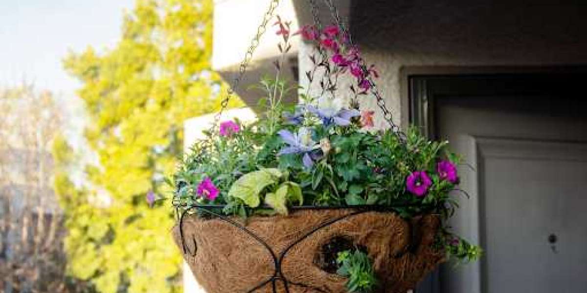 Elevate Your Space: Top Tips for Perfectly Decorating Hanging Basket Plants