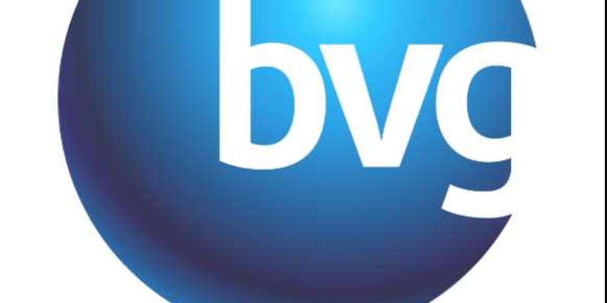 Unlocking Potential: BVG India Share Price Analysis 2024