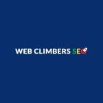 webclimbersseo Profile Picture