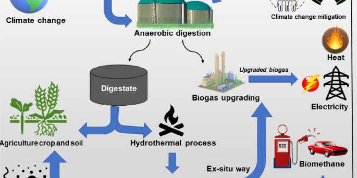 Biogas Upgardation Plant Manufacturer
