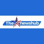 The American News Hub Profile Picture