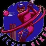 Cricket Sixer Profile Picture