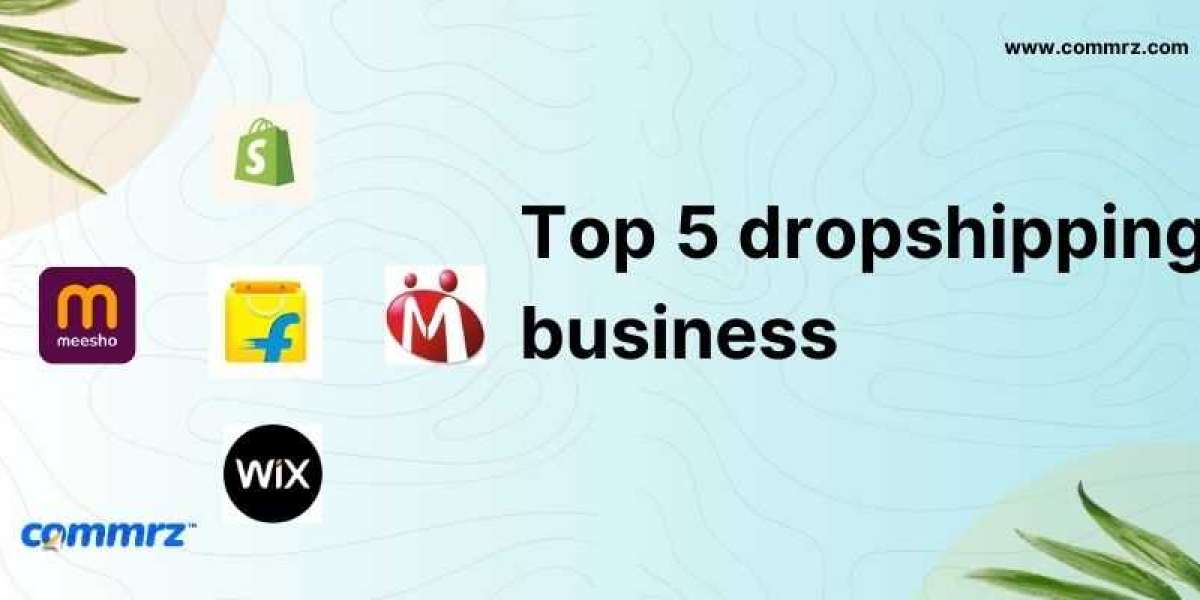 Top 5 Best Dropshipping Niches in India