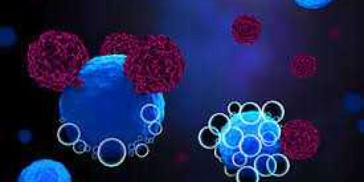 Cancer Immunotherapy Market Share, Industry Report and Revenue Forecast 2024-2032