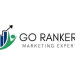 Go Rankers LLC Profile Picture