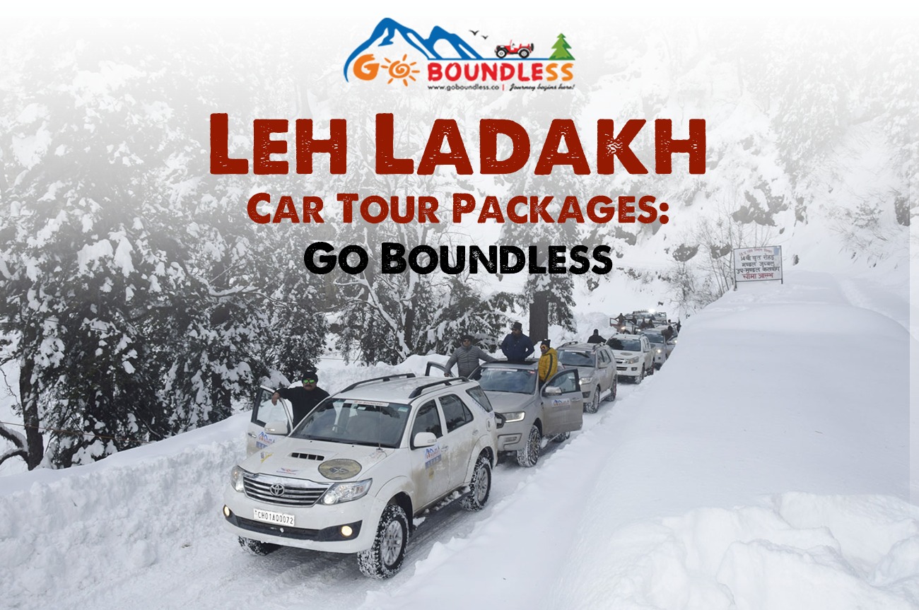 Leh Ladakh car tour packages | Leh Ladakh Car Tour
