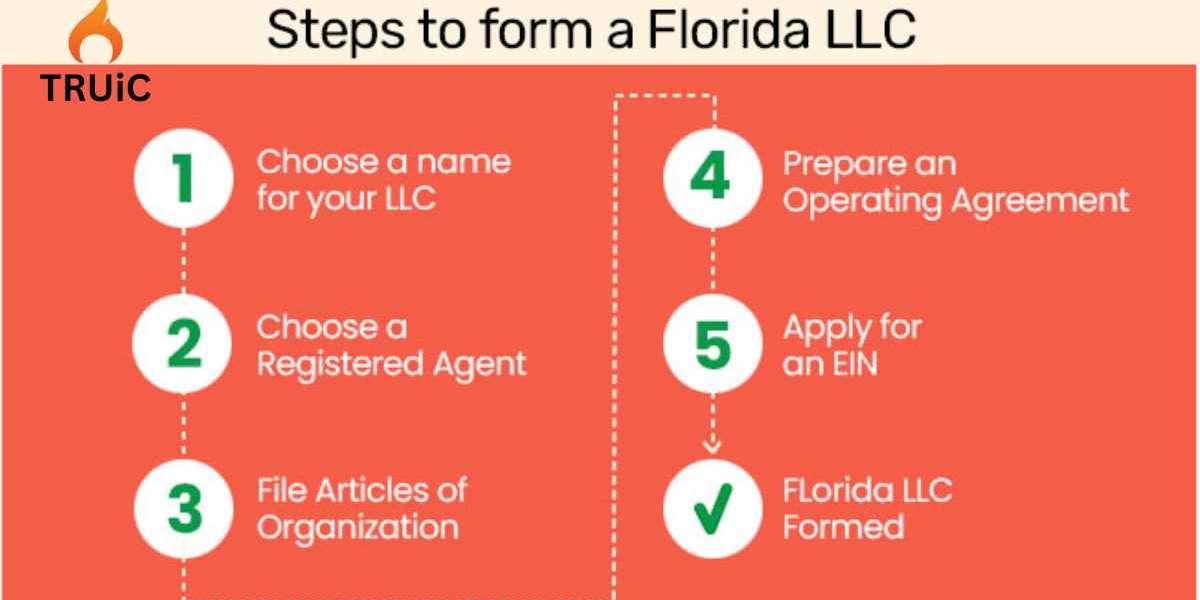 Easy Steps to Start an LLC in Florida