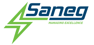 Energy Efficiency | Energy Efficiency Consulting firms | Energy Efficiency Consultants |Energy consulting for companies - Sanegenc