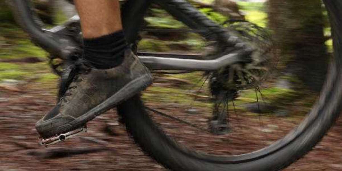 Mountain Bike Footwear and Socks Market Research Report By Key Players Analysis By 2030